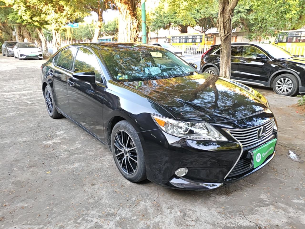 ES 2013 250 Elite photo 3