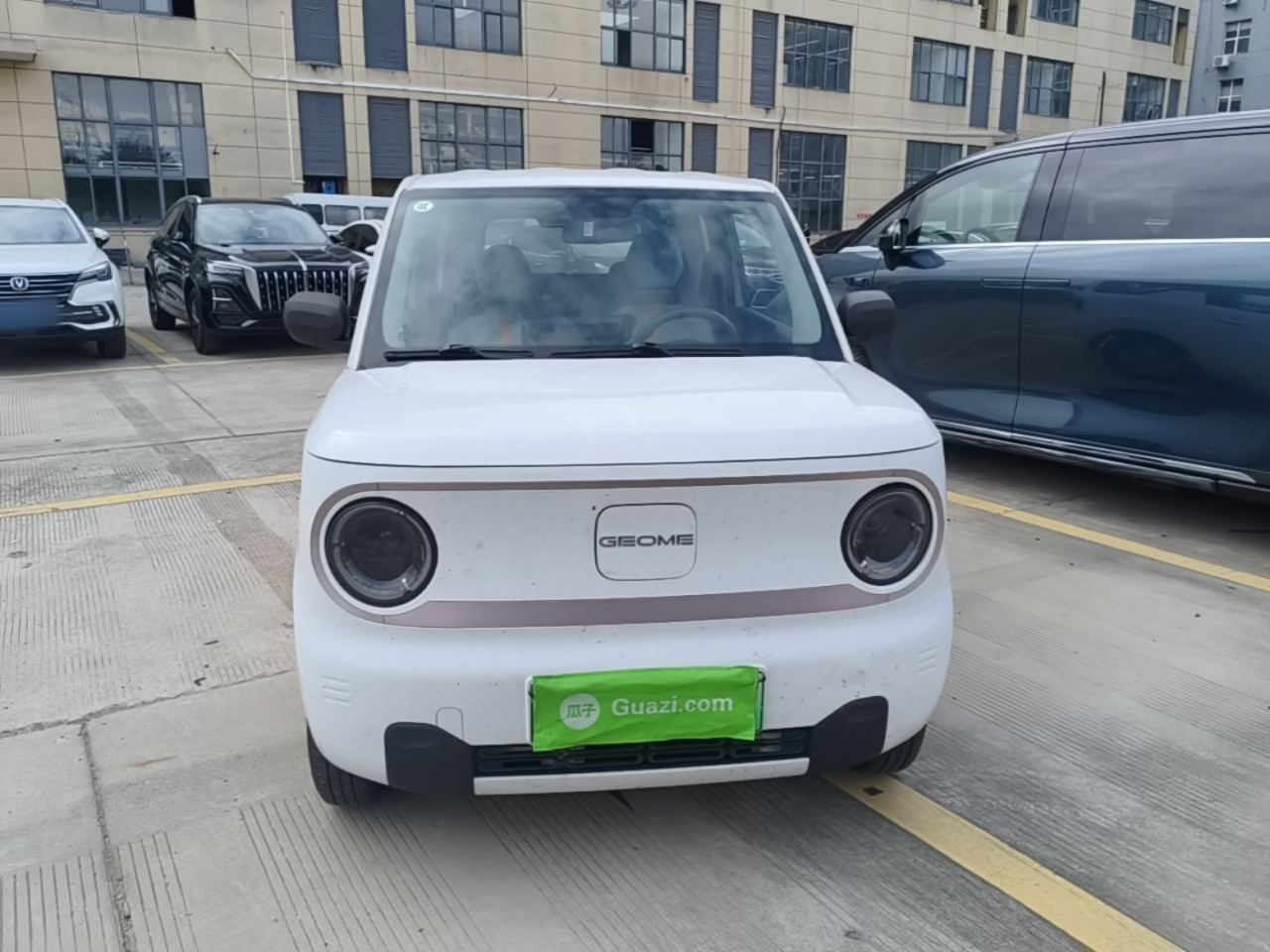2023 Panda mini 200km Endurance Bear photo 2