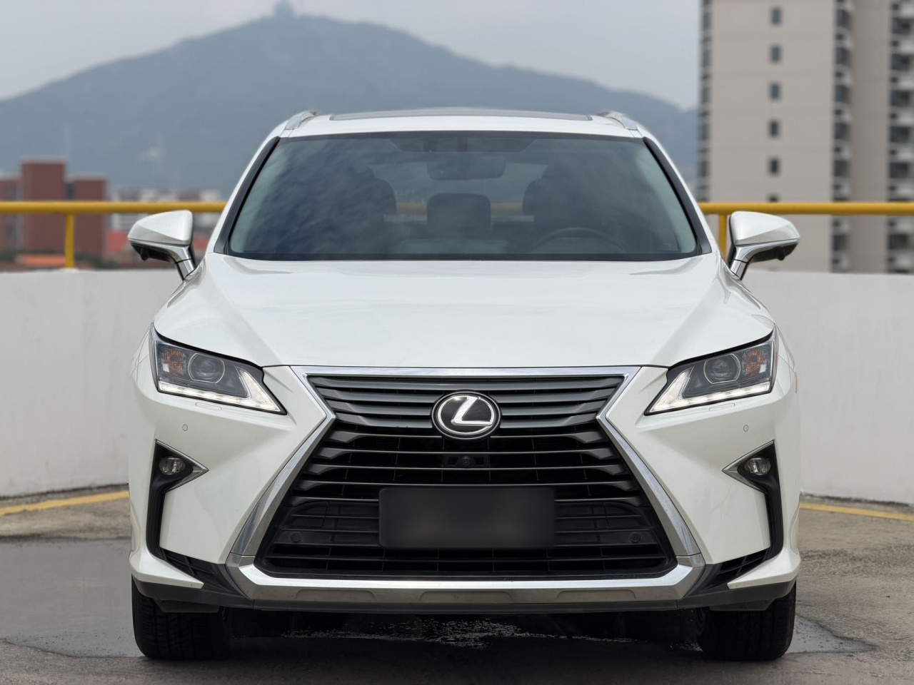 RX 2016 300 RWD Elite China V photo 2
