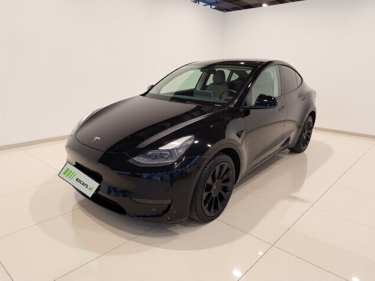 Model Y 2021 Standard Range RWD