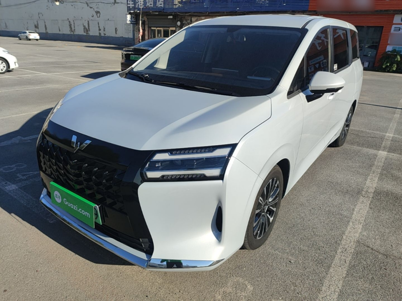 730 EV 2025 125km Luxury