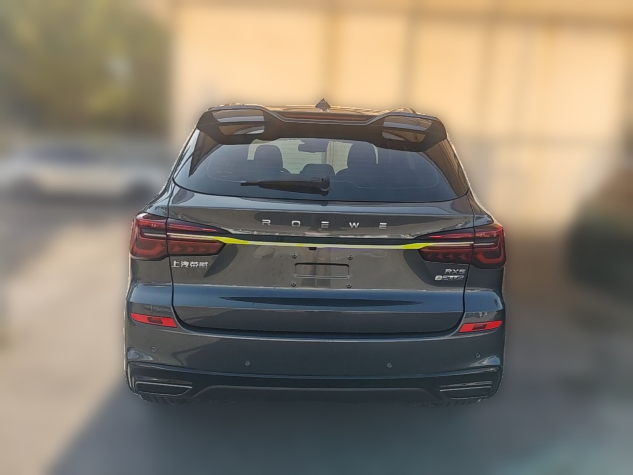 RX5 EV 2021 ePLUS Flagship photo 5