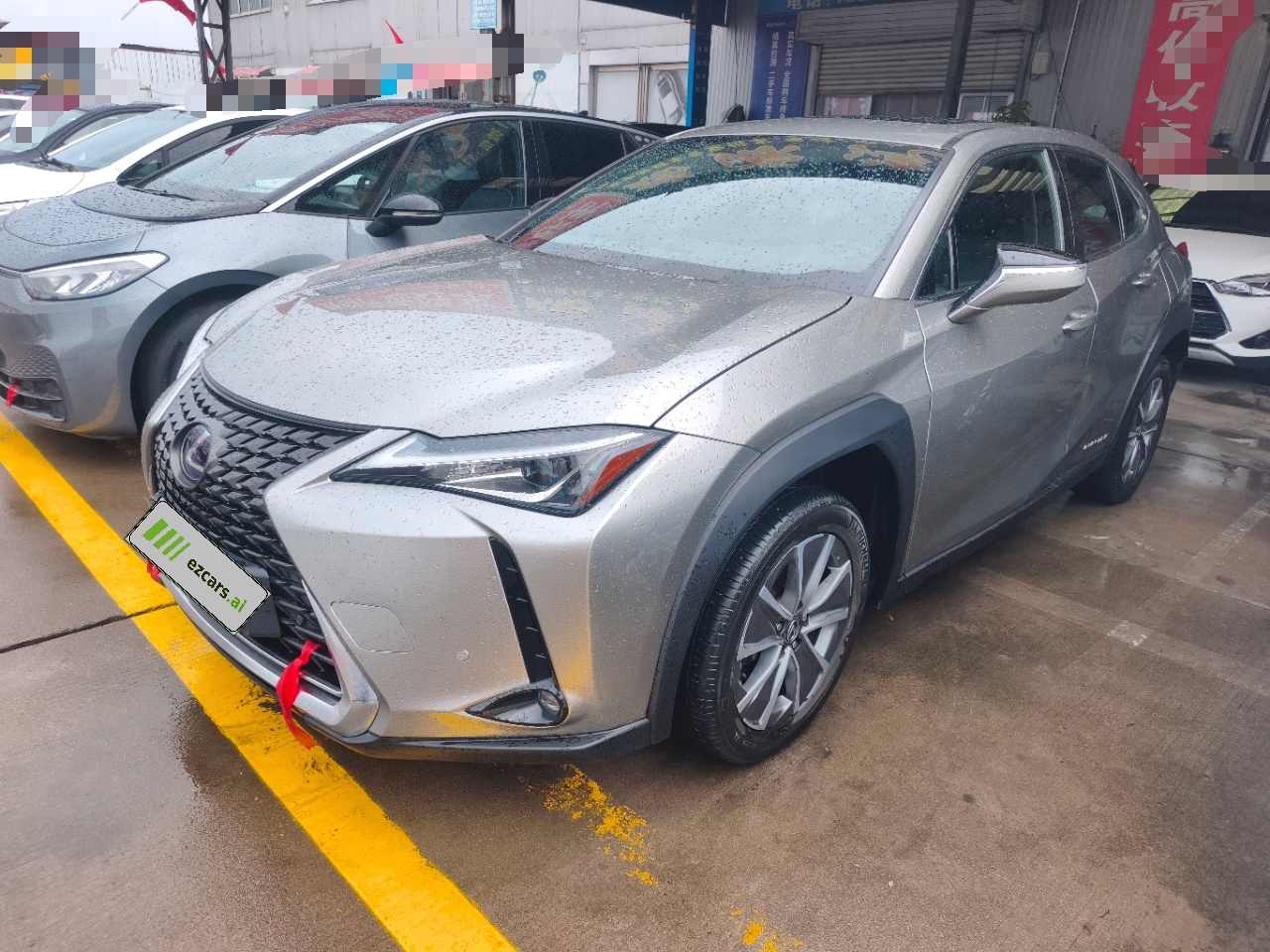 UX EV 2020 300e