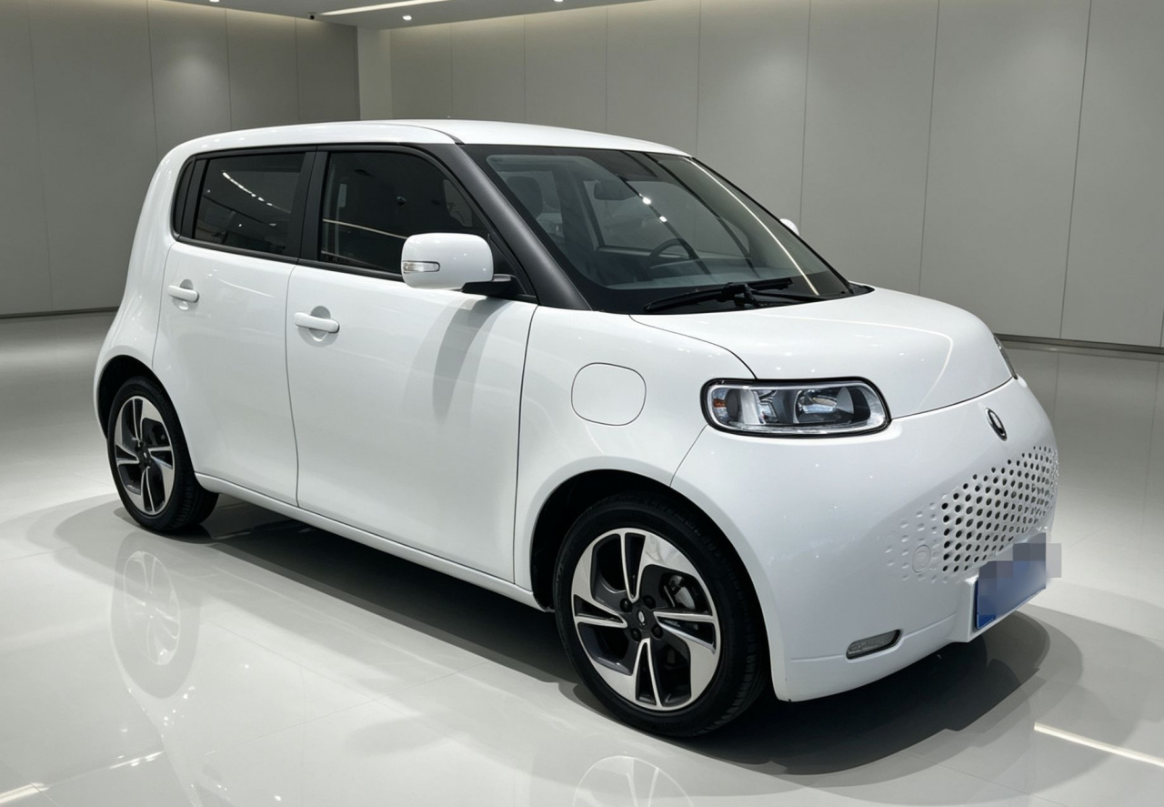 2020 305km Luxury photo 3
