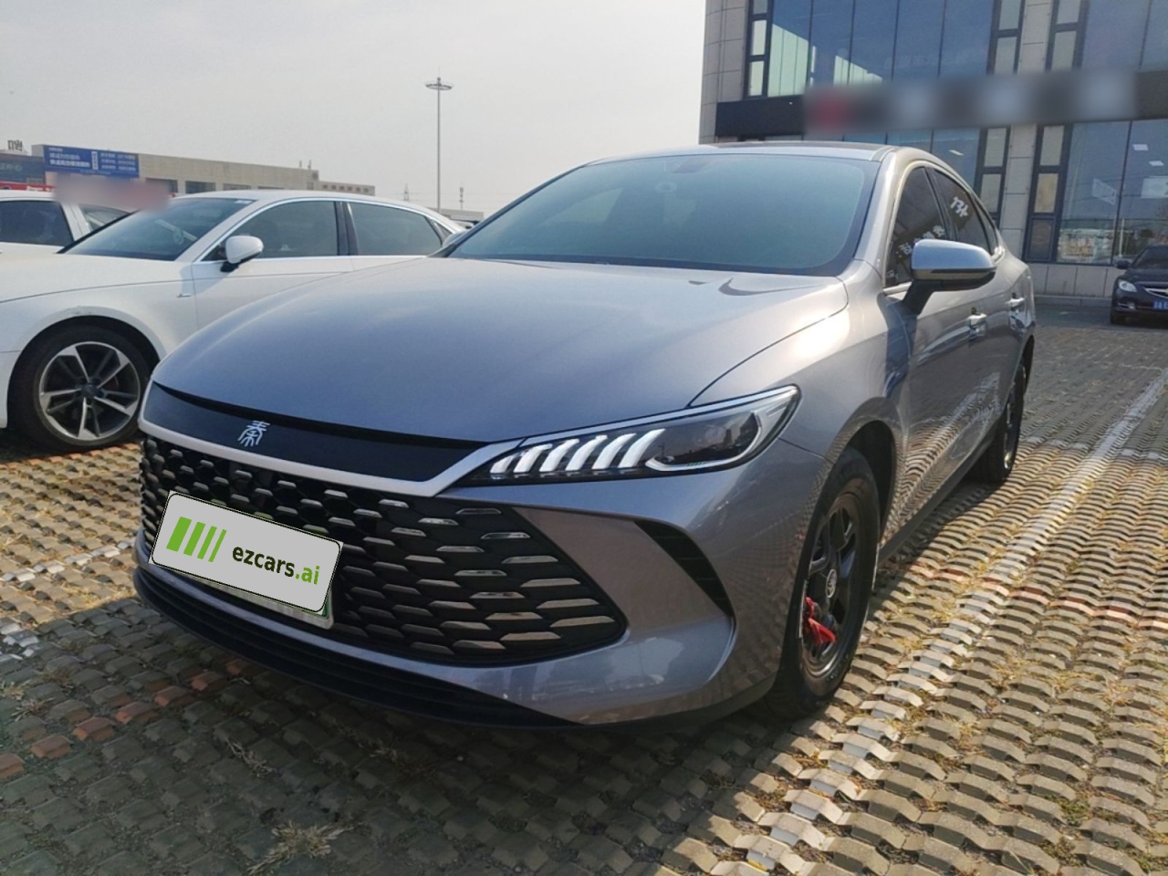 Qin PLUS 2025 DM-i ADAS 55KM Leading