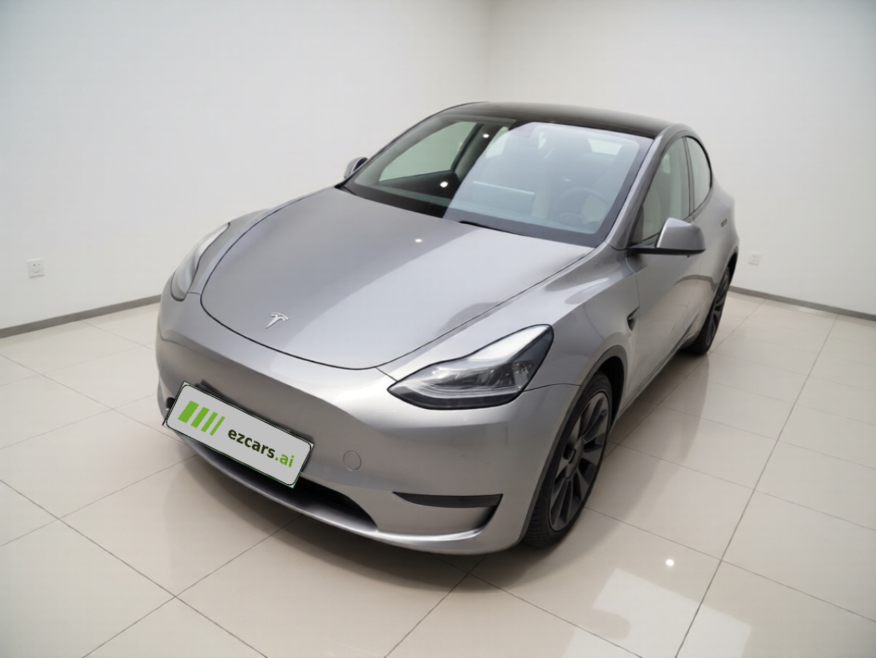 Model Y 2021 Standard Range RWD