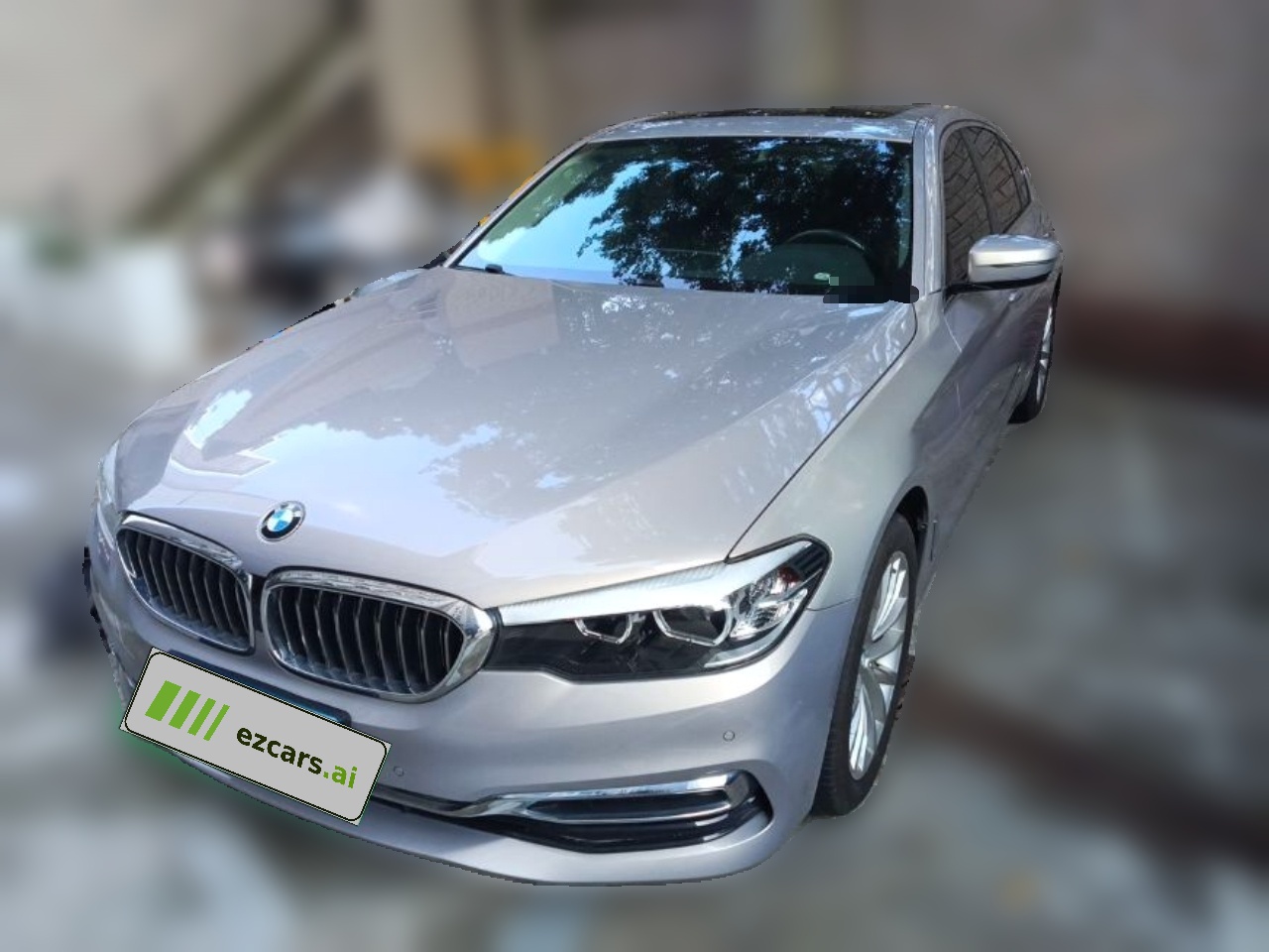 5 Series 2019 530Li Leading Luxury