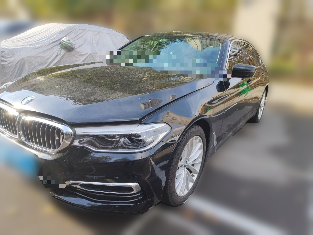 5 Series 2020 530Li Leading Luxury