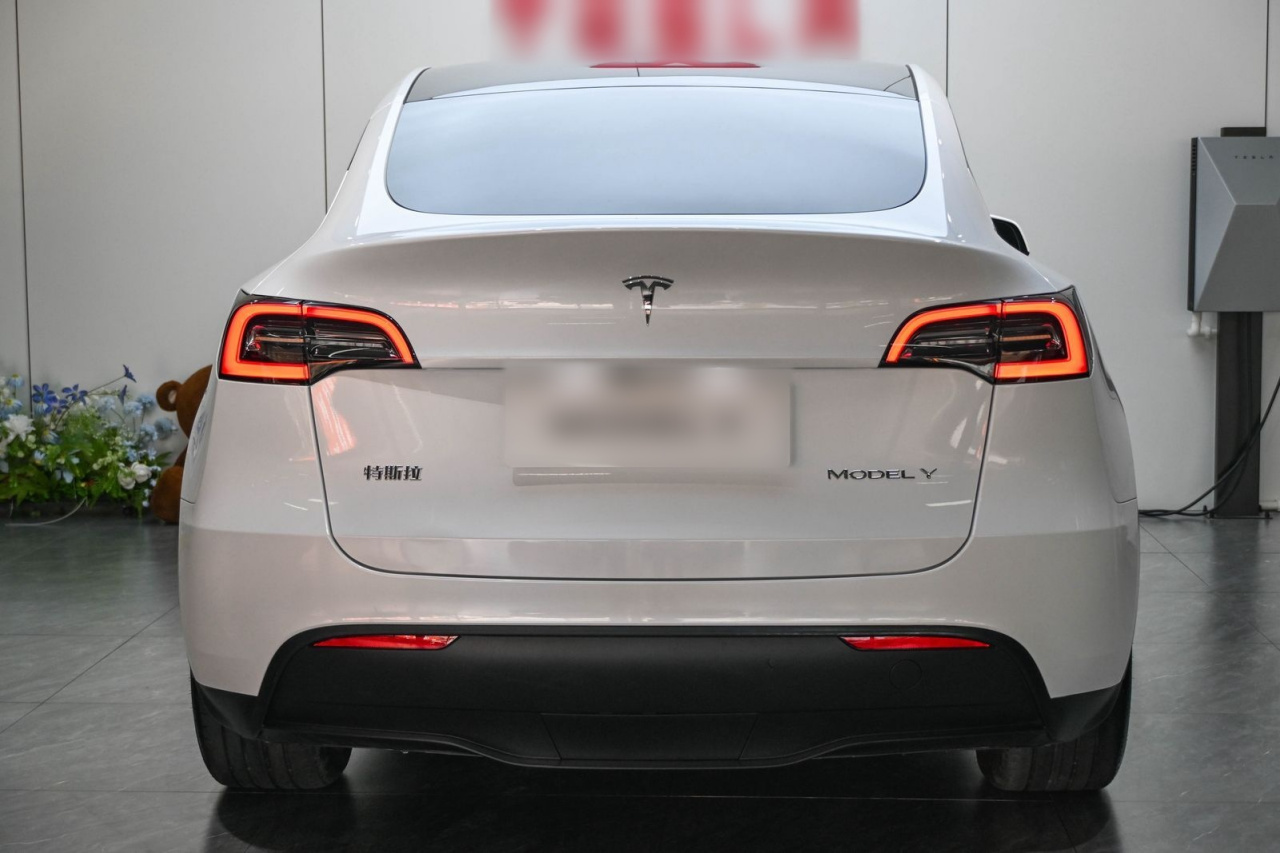 Model Y 2024 RWD photo 3
