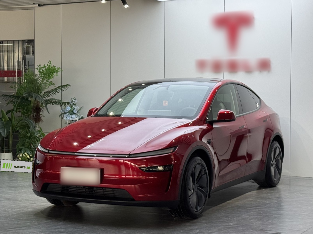 Model Y 2025 RWD