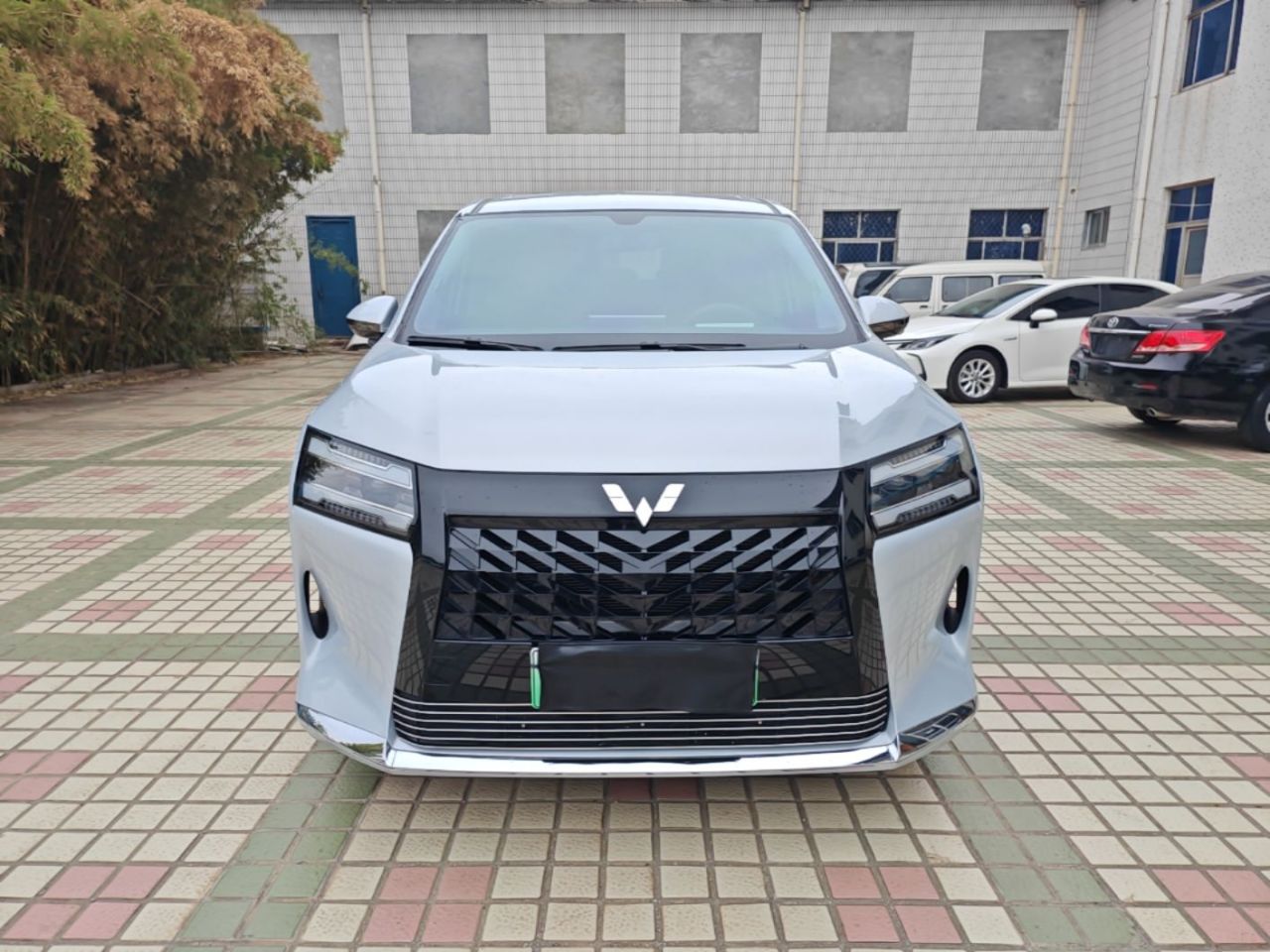 730 EV 2025 125km Luxury photo 2