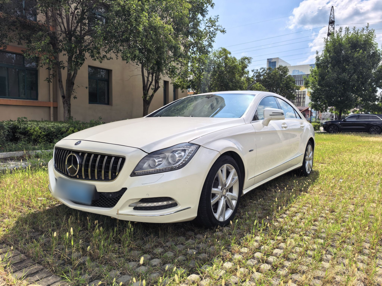 CLS 2012 CLS 300 CGI