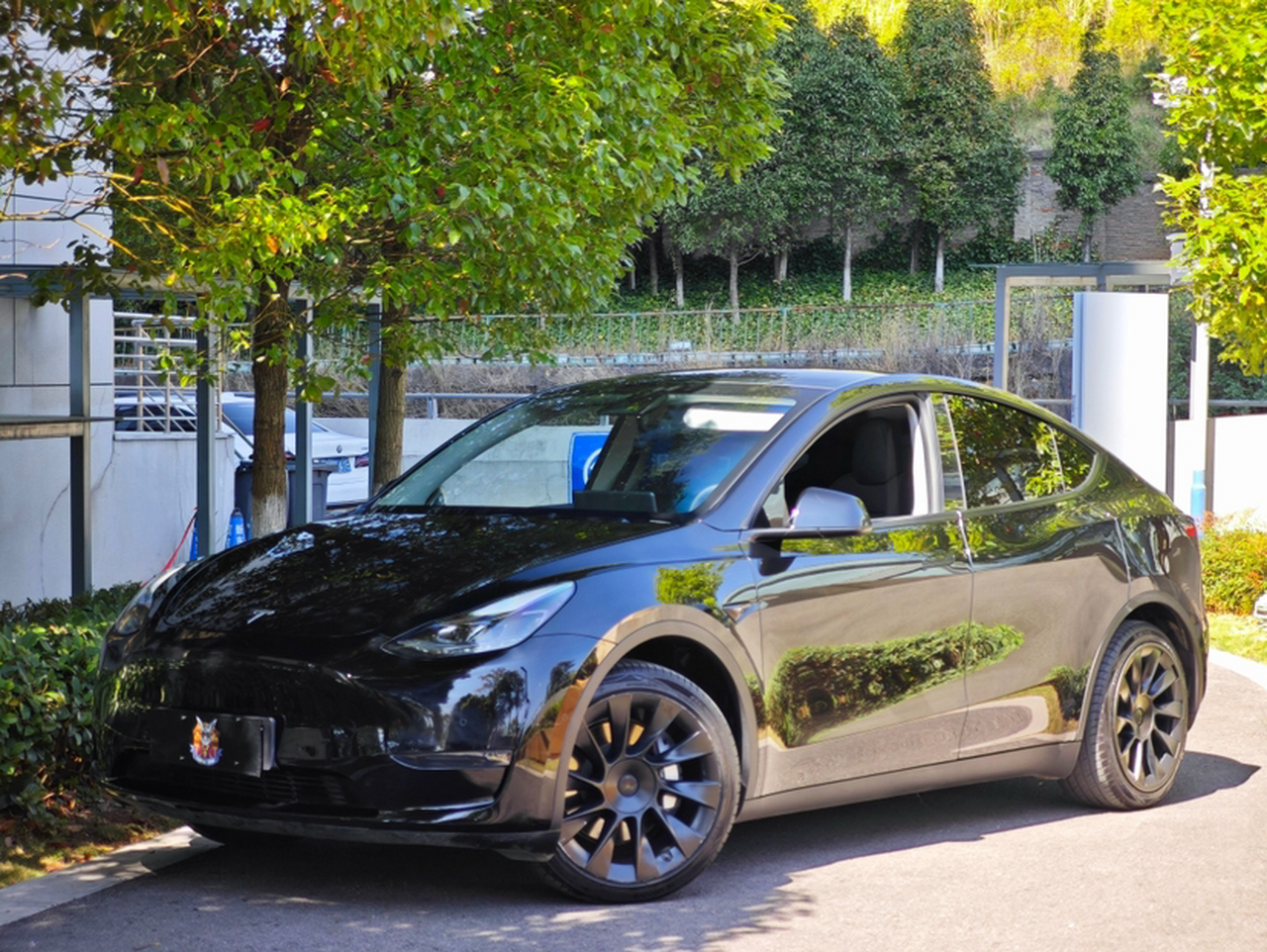 Model Y 2021 Standard Range RWD