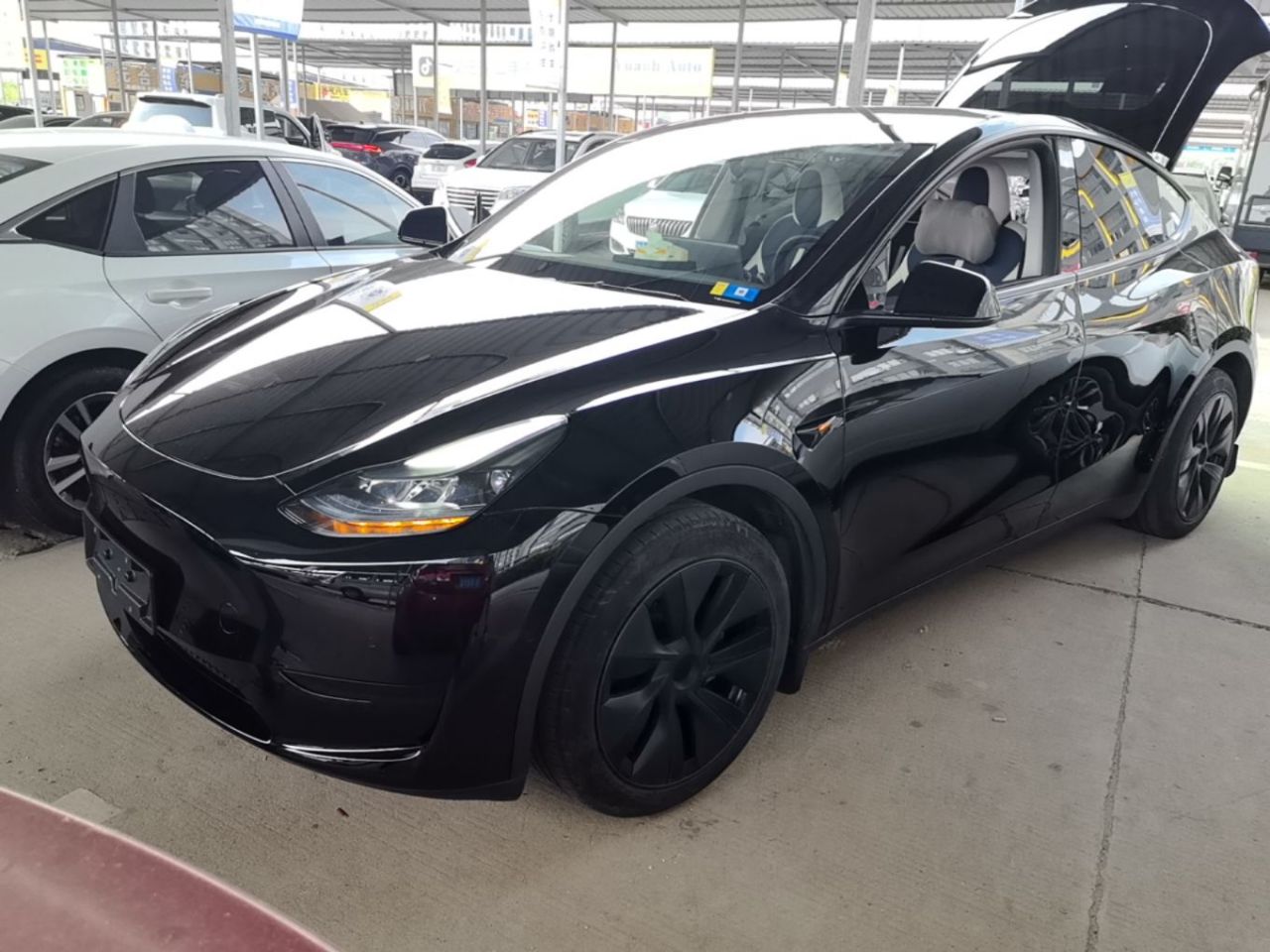Model Y 2023 RWD