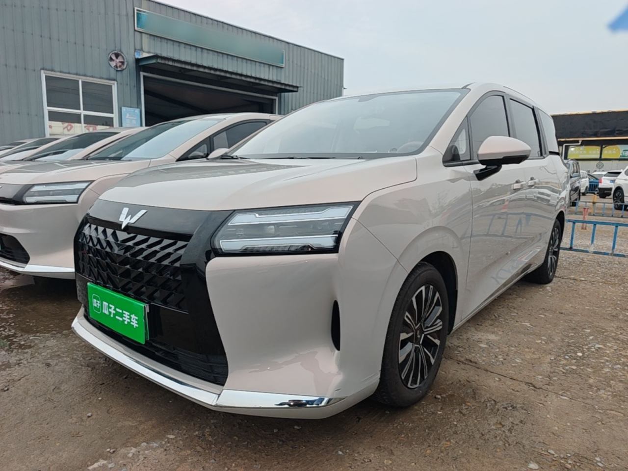730 EV 2025 125km Luxury