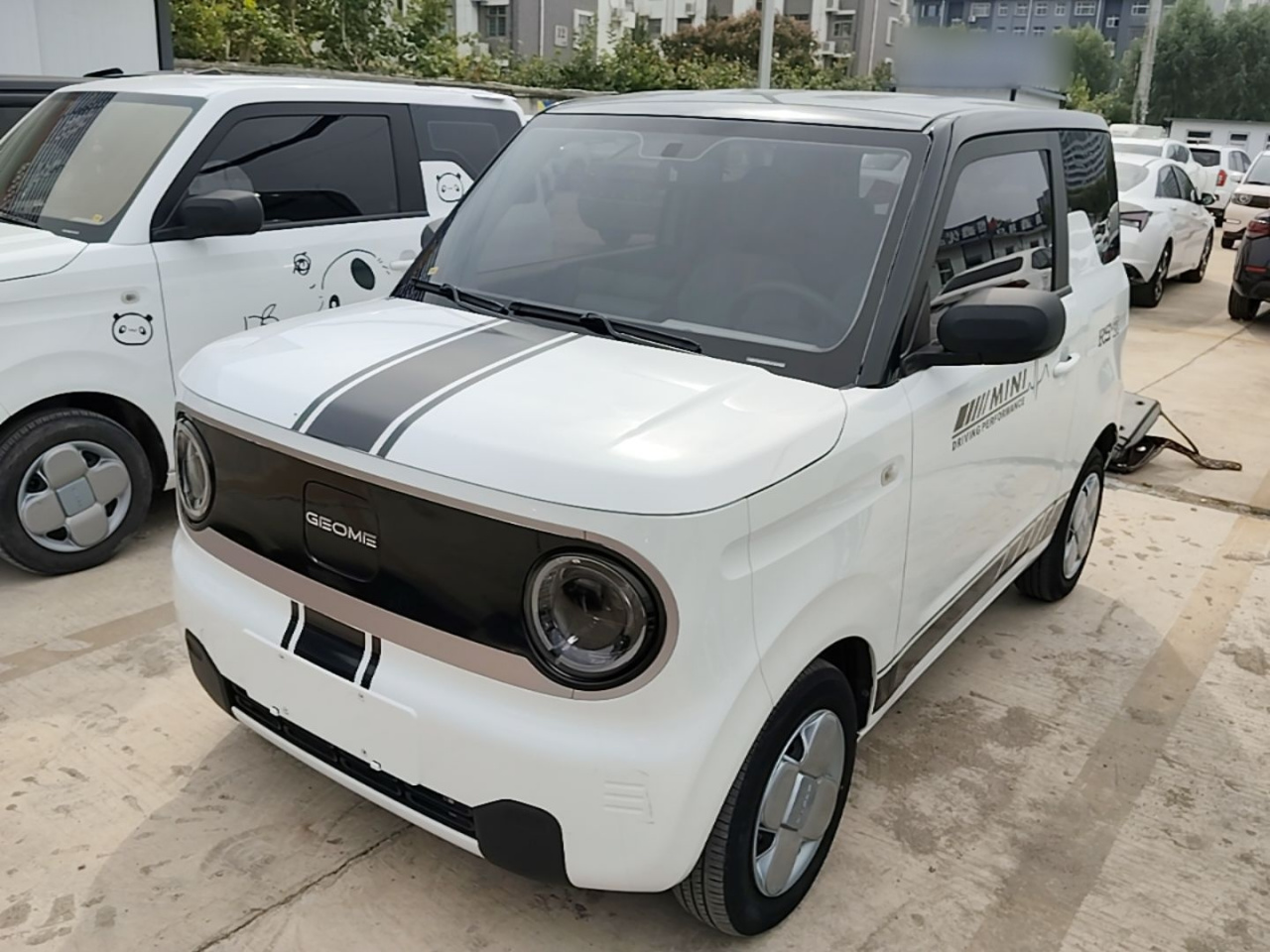 2023 Panda mini 200km Endurance Bear