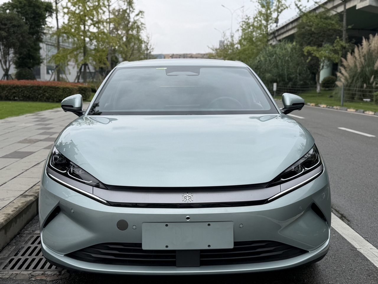 Qin L 2025 EV 545KM photo 4