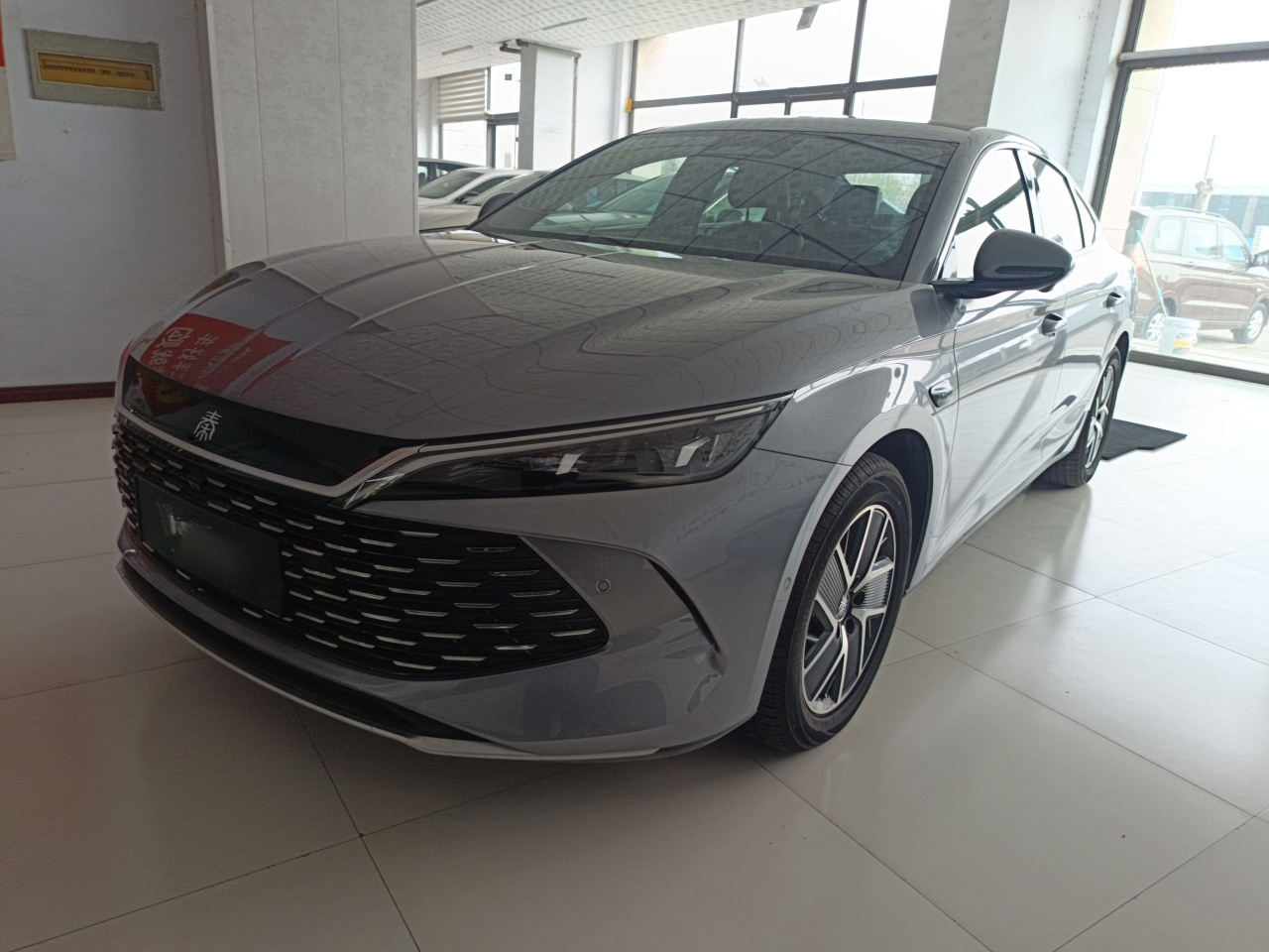 Qin L 2024 DM-i 120KM