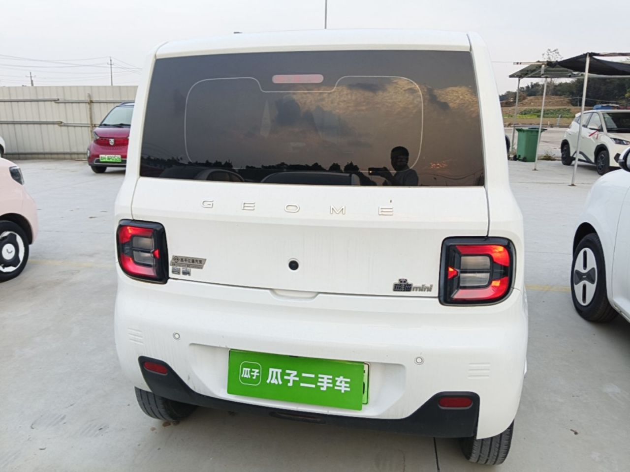 2024 Panda mini 200km Endurance Bear photo 3