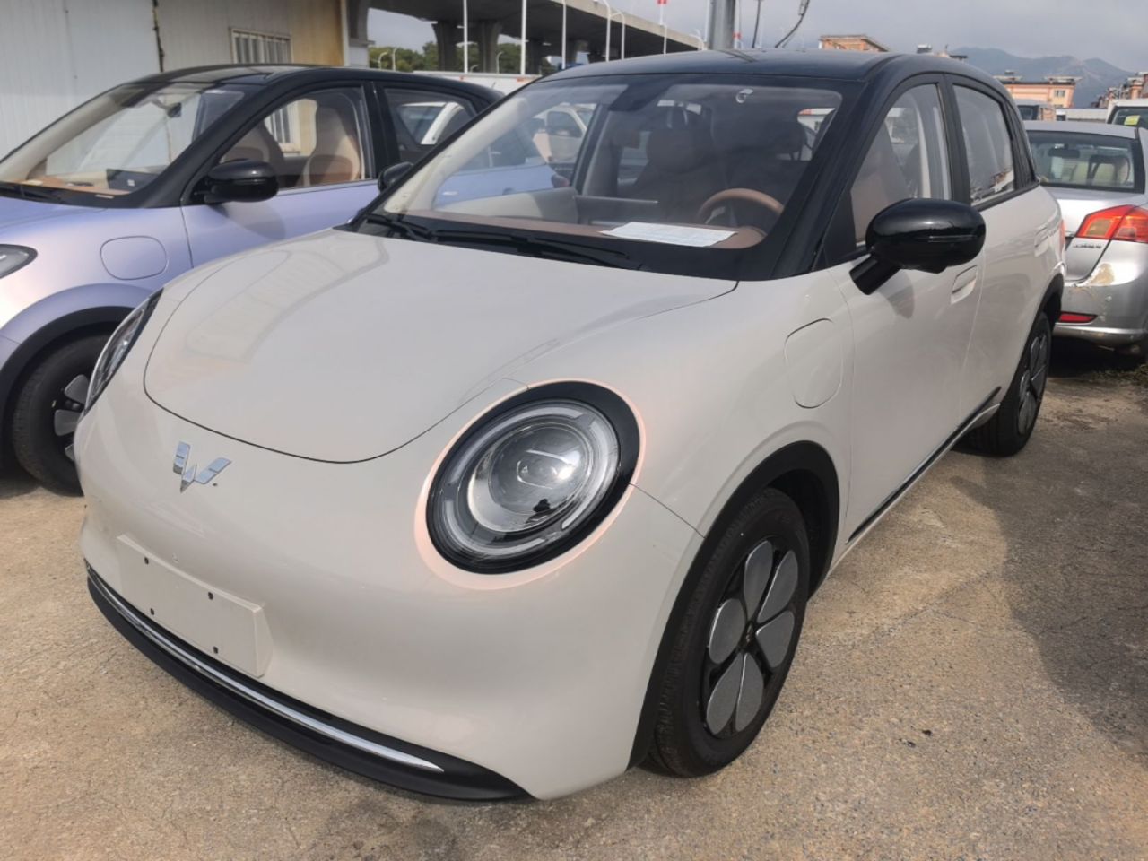 Bingo Pro 2026 330km Exclusive