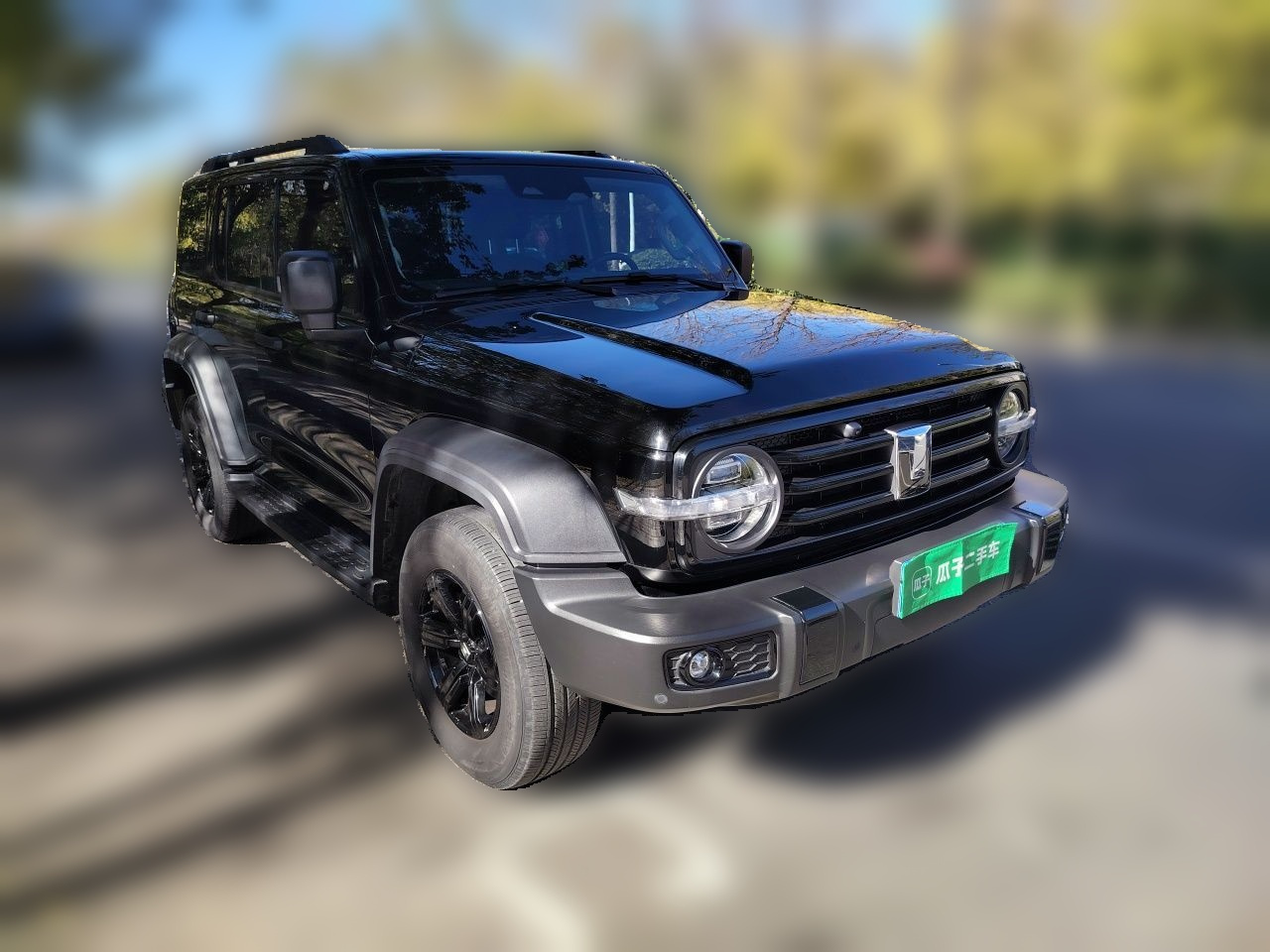 300 2024 2.0T Conqueror photo 3