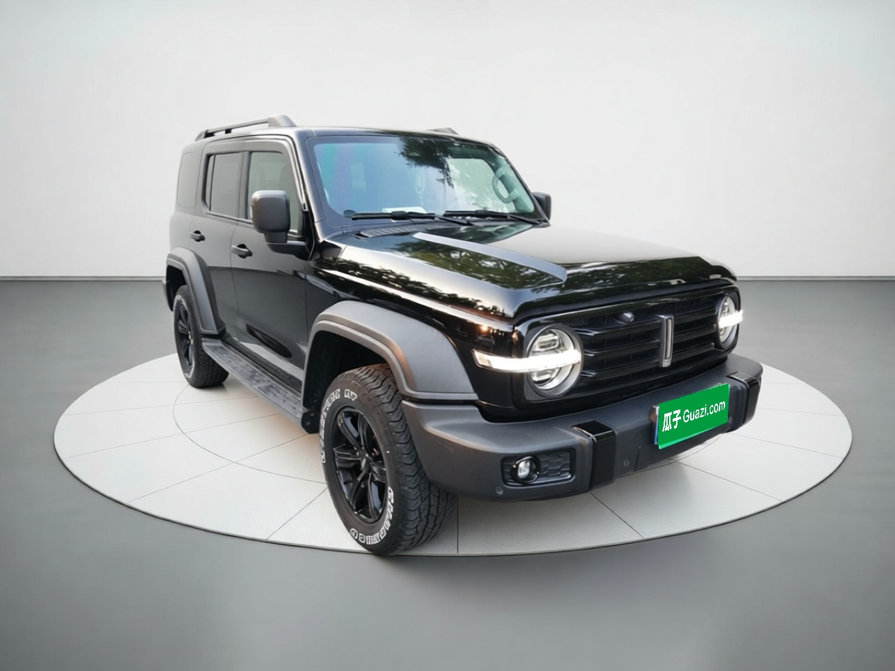 300 2021 Off-road 2.0T photo 3
