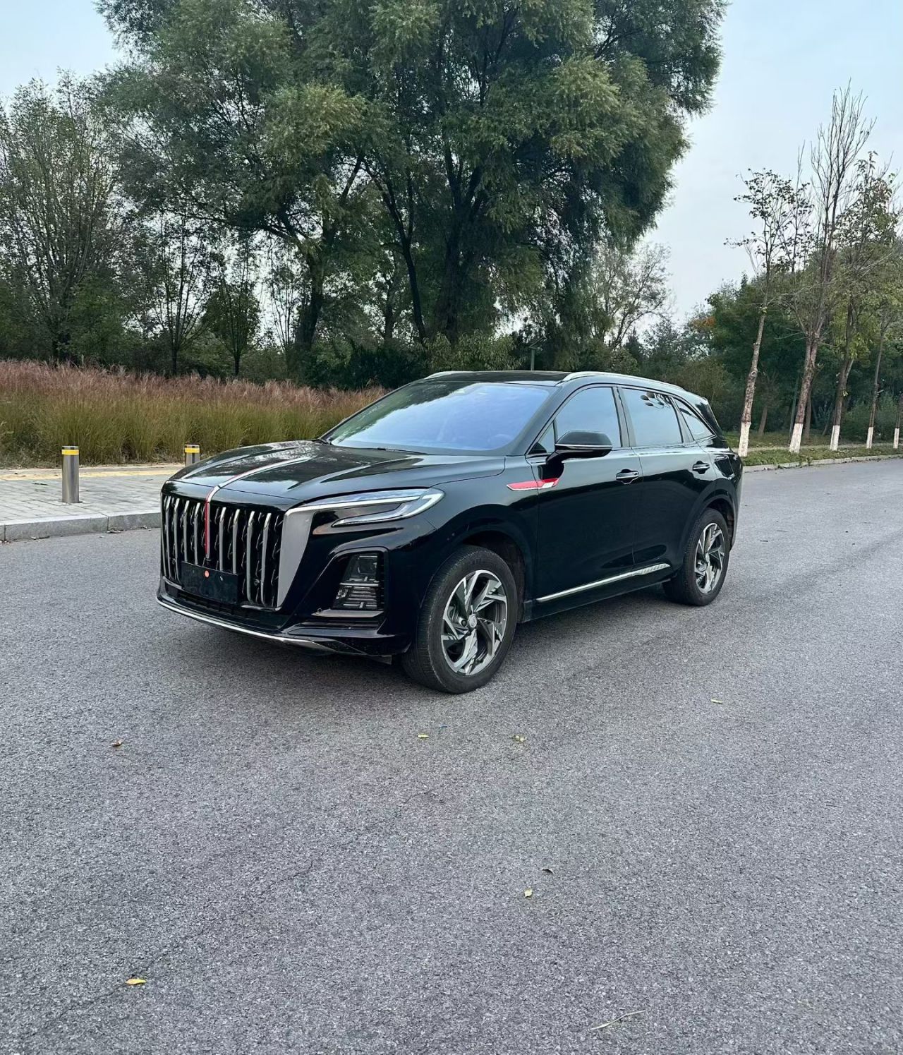 HS3 PHEV 2025 125km 200 Anniversary Edition photo 5