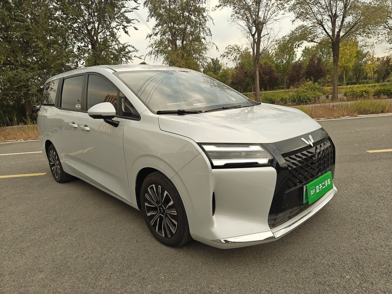 730 EV 2025 125km Luxury photo 3
