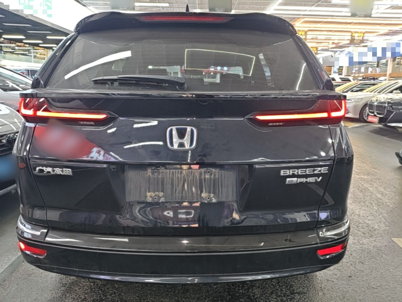 Breeze EV 2022 e:PHEV Luxury photo 5
