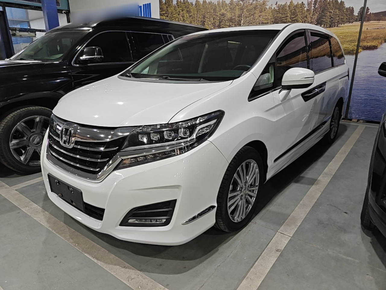 Elysion 2016 2.4L Luxury