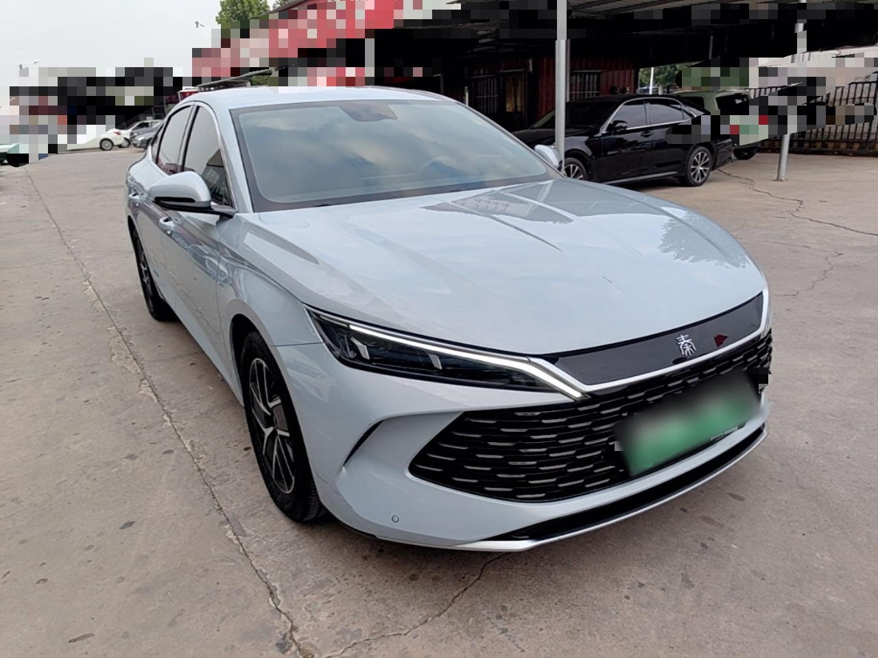 Qin L 2024 DM-i 80KM photo 3