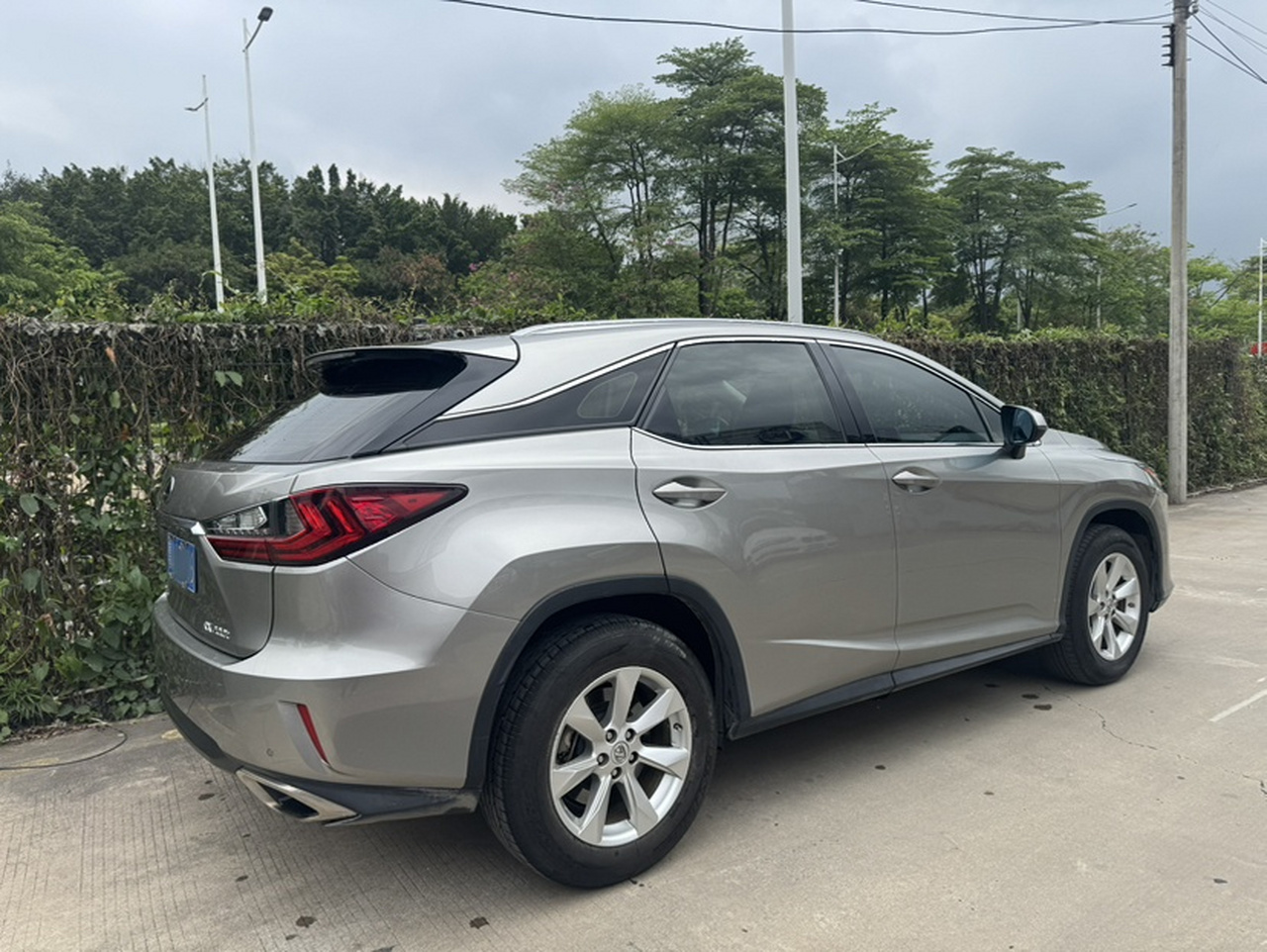 RX 2016 300 RWD Elite China V photo 3