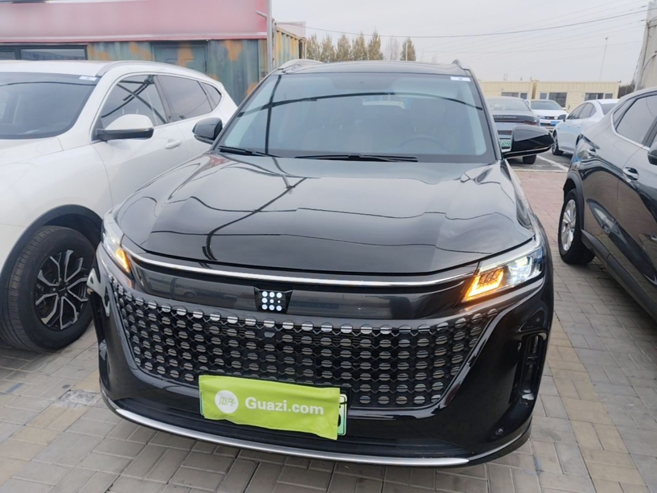 Bluelectric E5 2023 1.5L DE-i 100KM 7-Seater photo 2