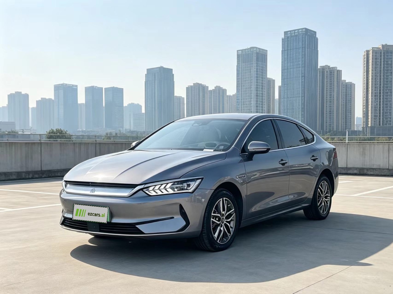 Qin PLUS 2024 Honor EV 420KM Leading