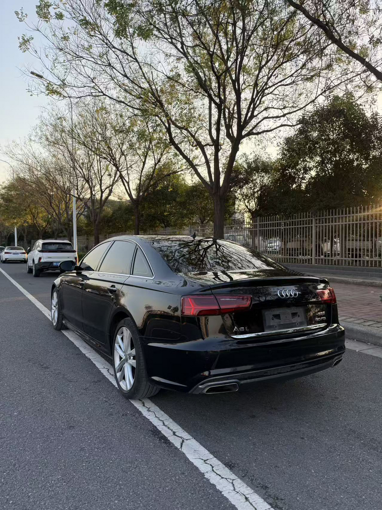 A6L 2018 30 FSI Collection photo 2