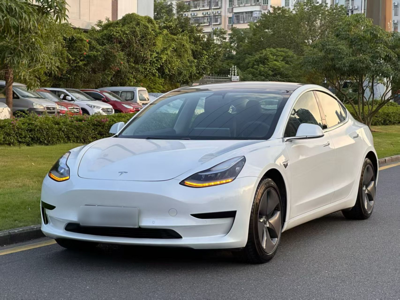 Model 3 Imported 2019 Standard Range RWD Upgraded 52