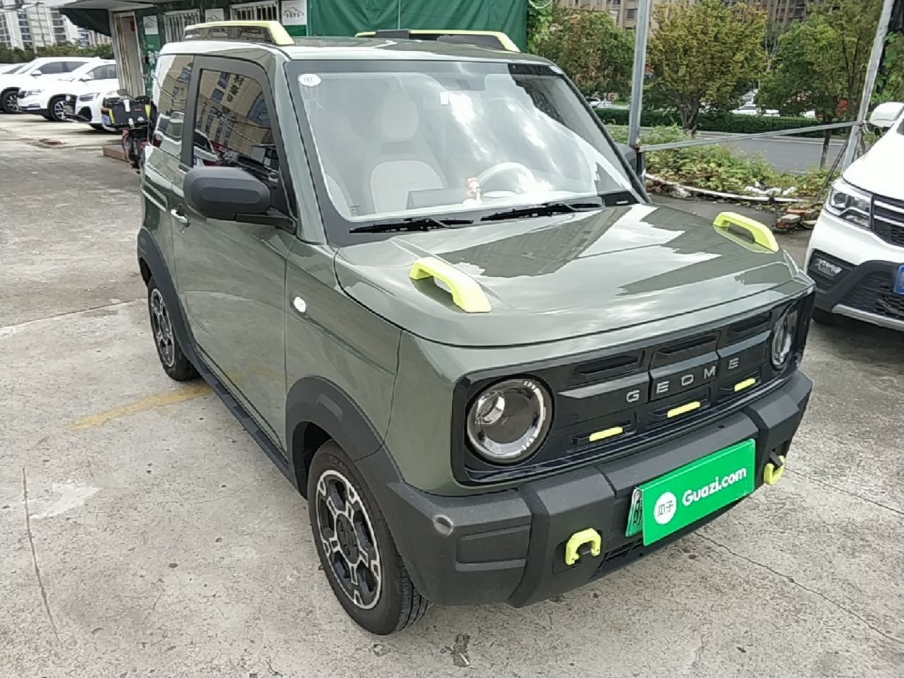 2025 210km Panda photo 3