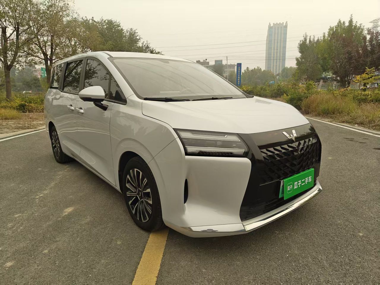730 EV 2025 125km Luxury photo 3