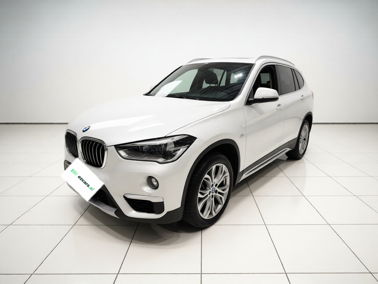 X1 2019 sDrive20Li Leading