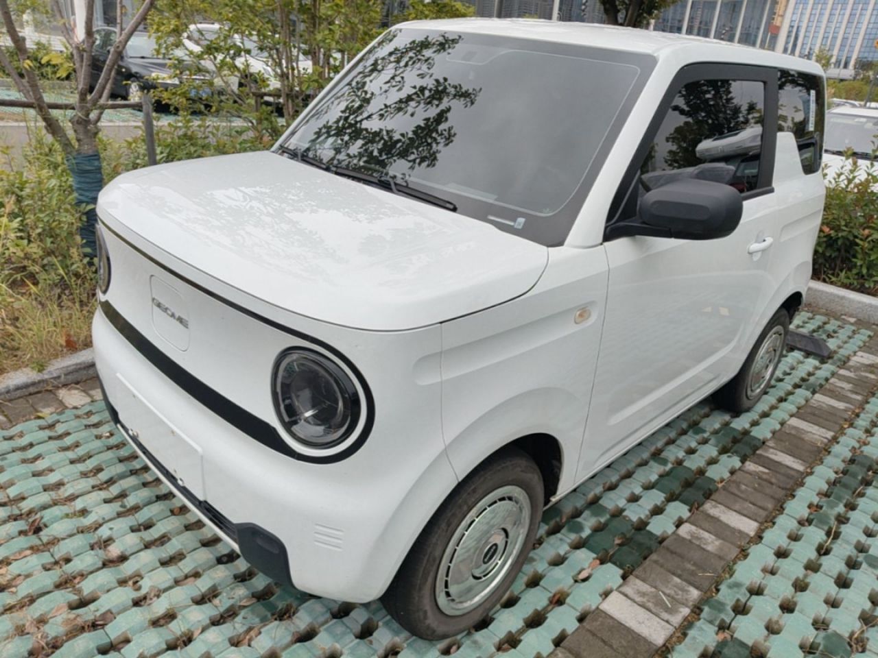 2024 Panda mini 200km Endurance Bear