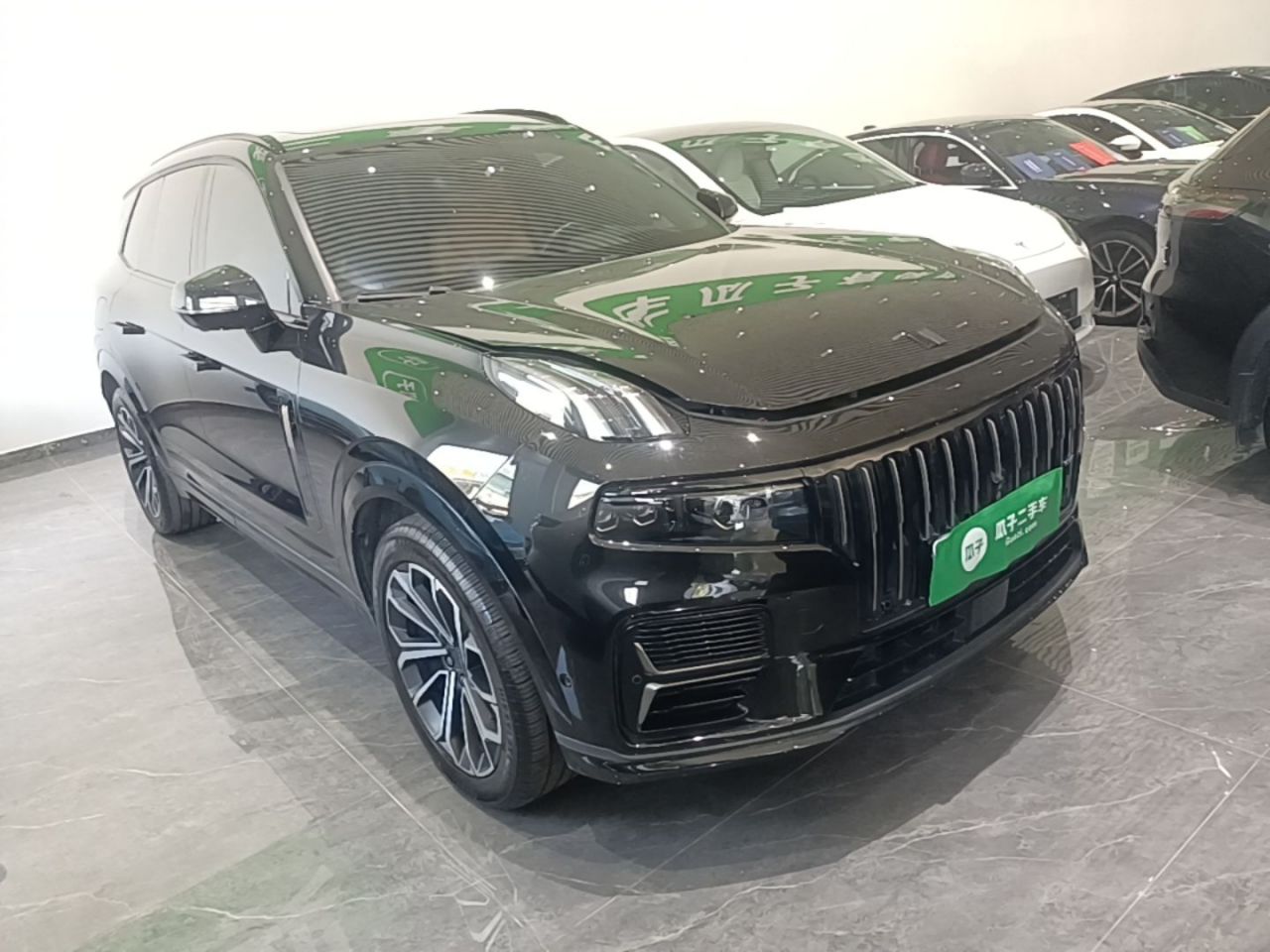 09 EM-P 2024 2.0TD EM-P AWD HALO 6-Seater photo 3