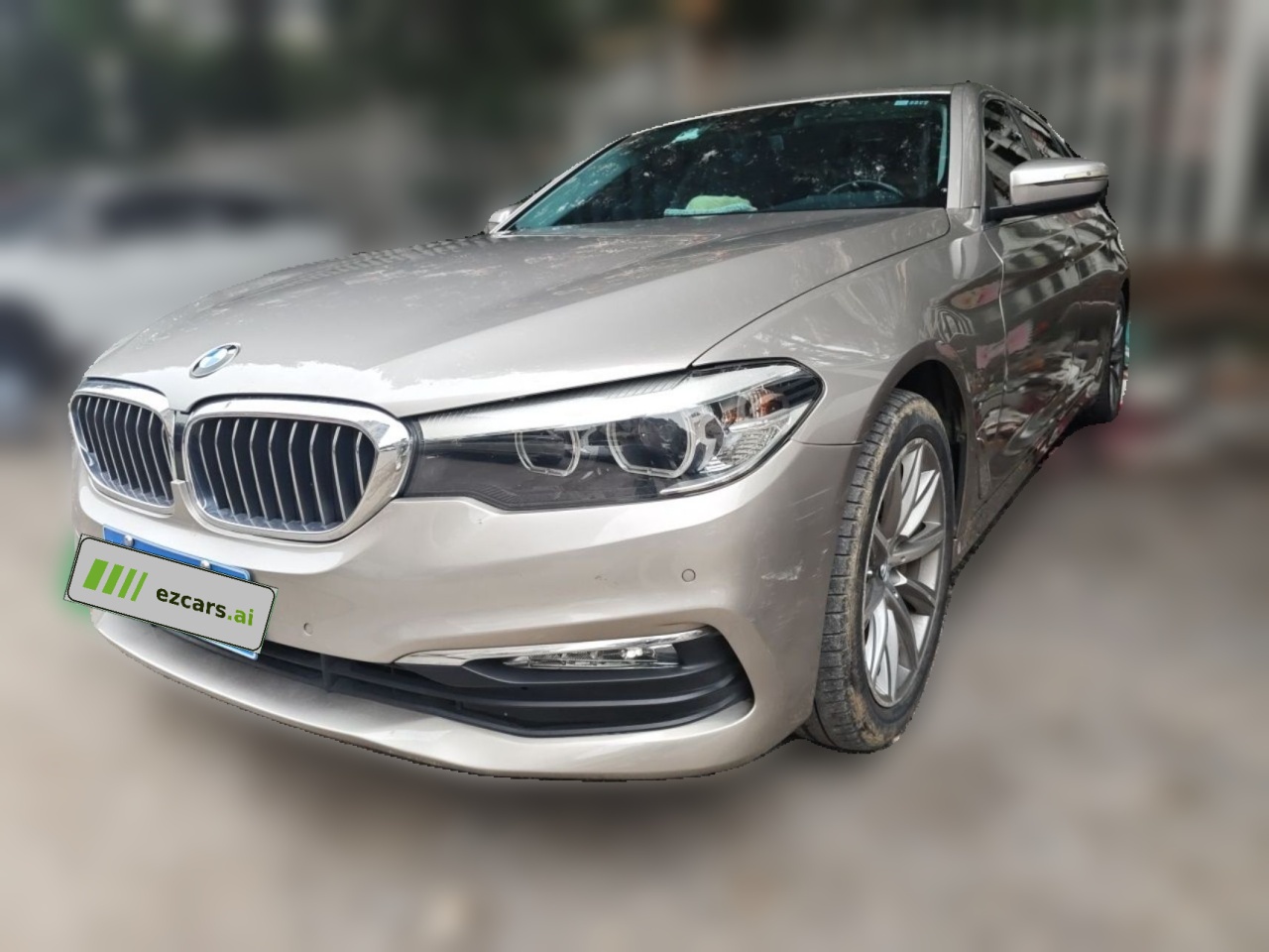 5 Series 2018 528Li Special