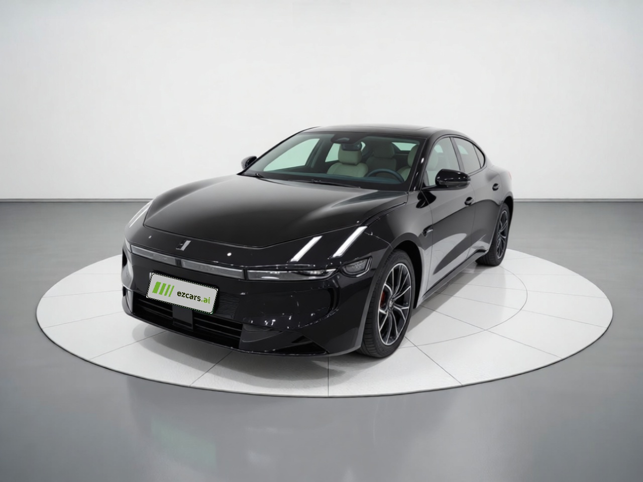Z10 2024 95kWh 766km RWD Max
