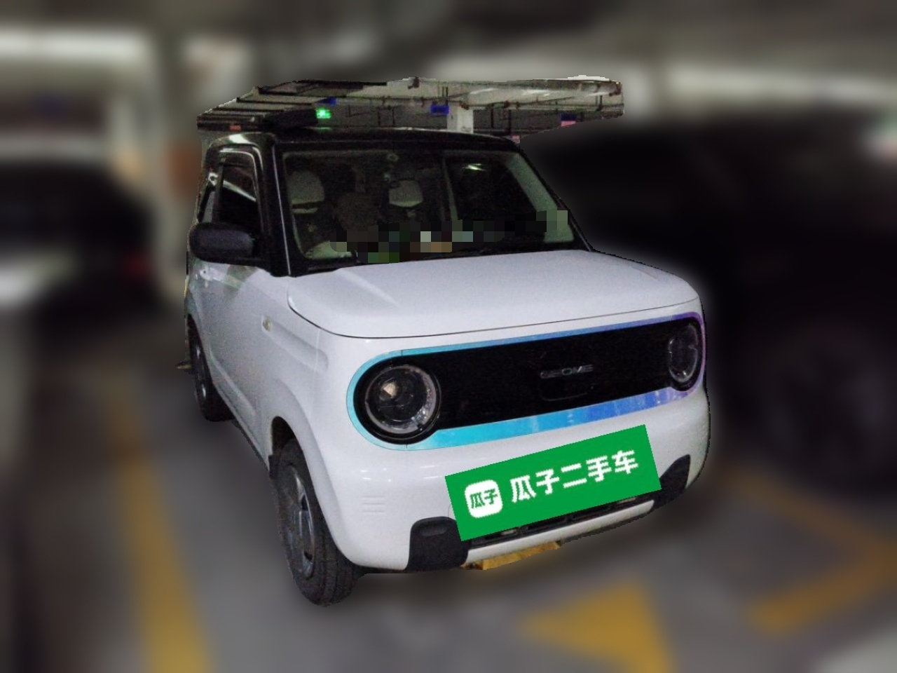2023 Panda mini 200km Endurance Bear photo 3