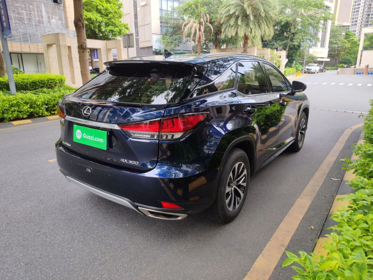 RX 2020 Facelift 300 RWD Elite photo 3