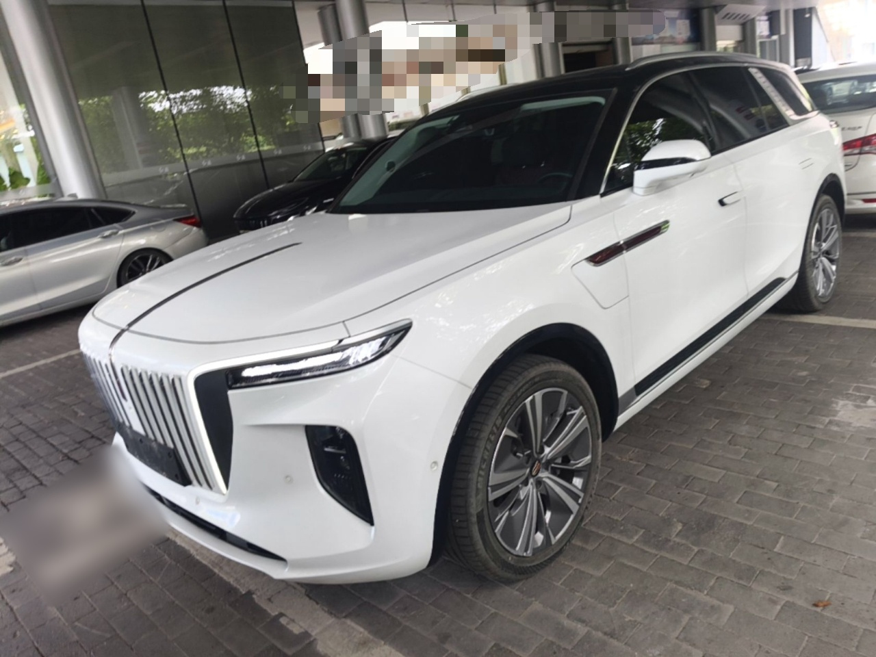 E-HS9 2022 660km 6-Seater