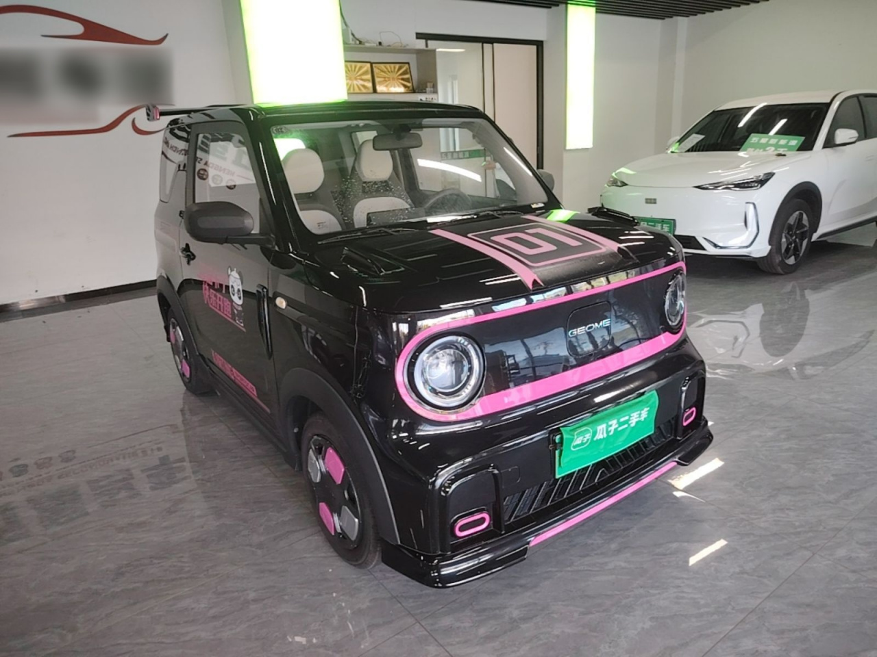 2025 210km Panda photo 3