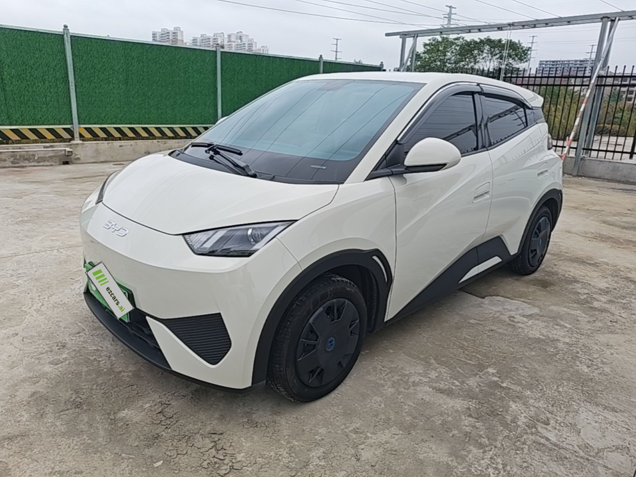 Seagull 2025 305km