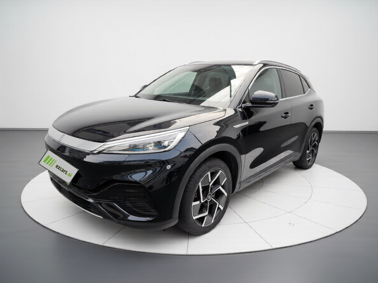 Yuan PLUS 2024 Honor 510KM