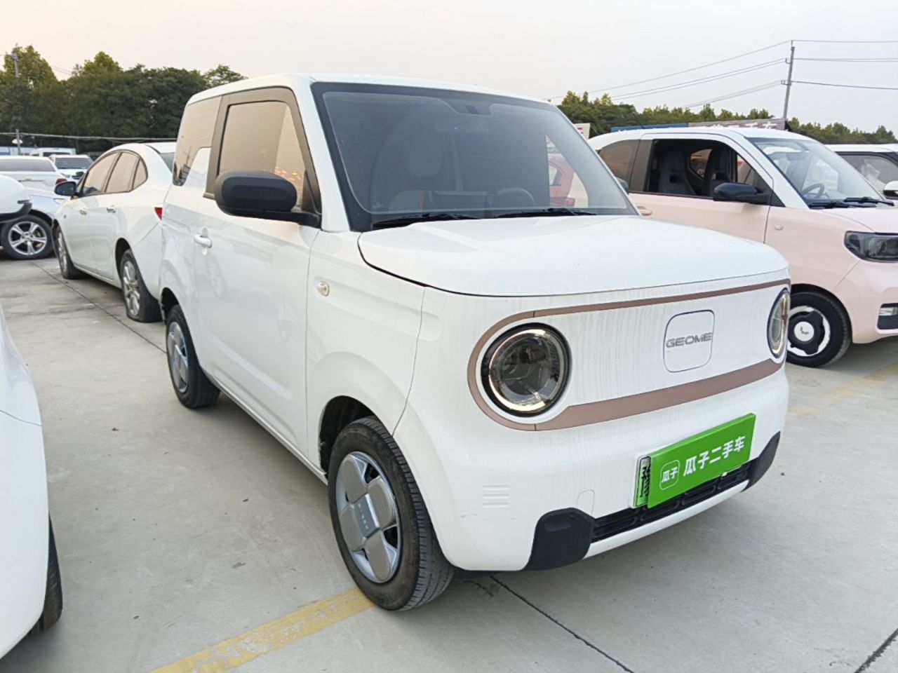 2024 Panda mini 200km Endurance Bear photo 5